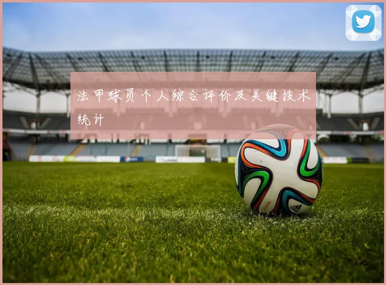 法甲球员个人综合评价及关键技术统计