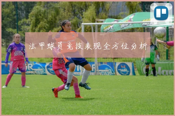 法甲球员竞技表现全方位分析