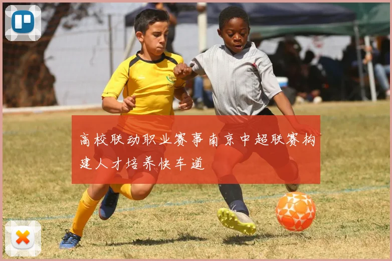 高校联动职业赛事南京中超联赛构建人才培养快车道