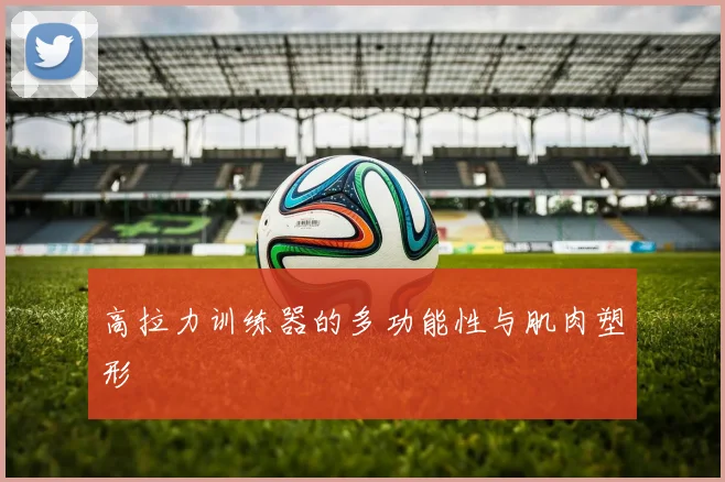 高拉力训练器的多功能性与肌肉塑形